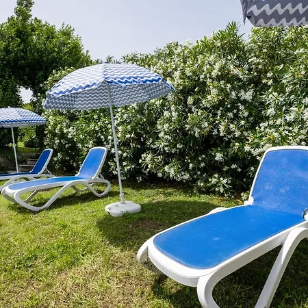 La Pieve - Margherite * Pereta