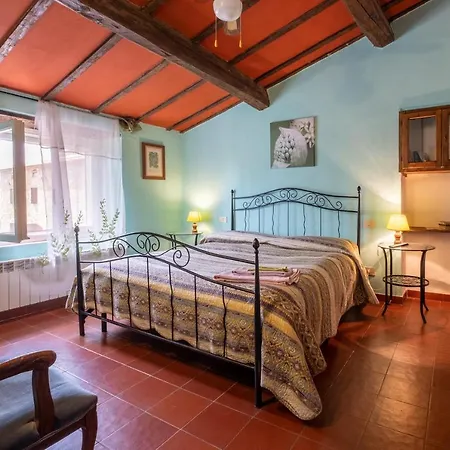 La Pieve - Margherite 马利亚诺因托斯卡纳