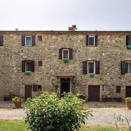 La Pieve - Margherite * 马利亚诺因托斯卡纳