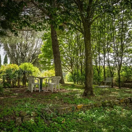 La Pieve - Margherite Farm stay
