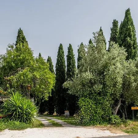 Farmház La Pieve - Margherite