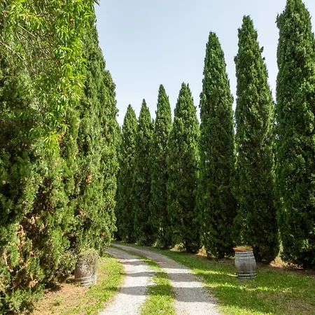 Farmház La Pieve - Margherite